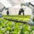 How tech investment is shaping the future of consumer goods and agriculture