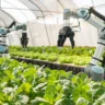 How tech investment is shaping the future of consumer goods and agriculture