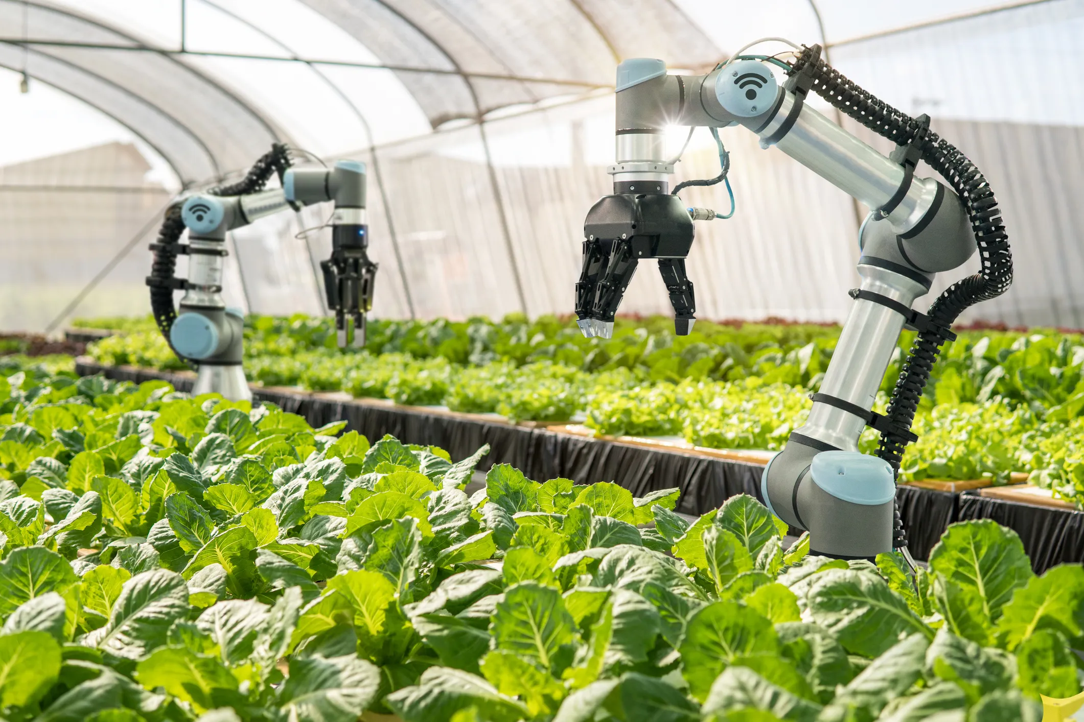 How tech investment is shaping the future of consumer goods and agriculture